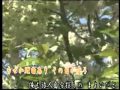 旅路の赤い花.wmv