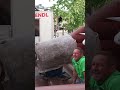 Marktfest Straßwalchen 2026