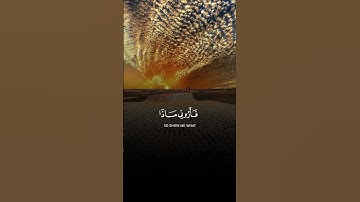 اكتب شيء تؤجر عليه 🤍🥀.           القران الكريم💚| القارئ ياسر الدوسري🤍🎧