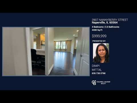 3907 Nannyberry Street, Naperville, IL home video tour