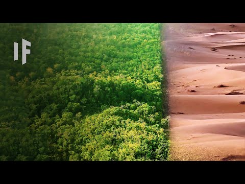 वीडियो: सहारा रेगिस्तान एक चरम वातावरण क्यों है?
