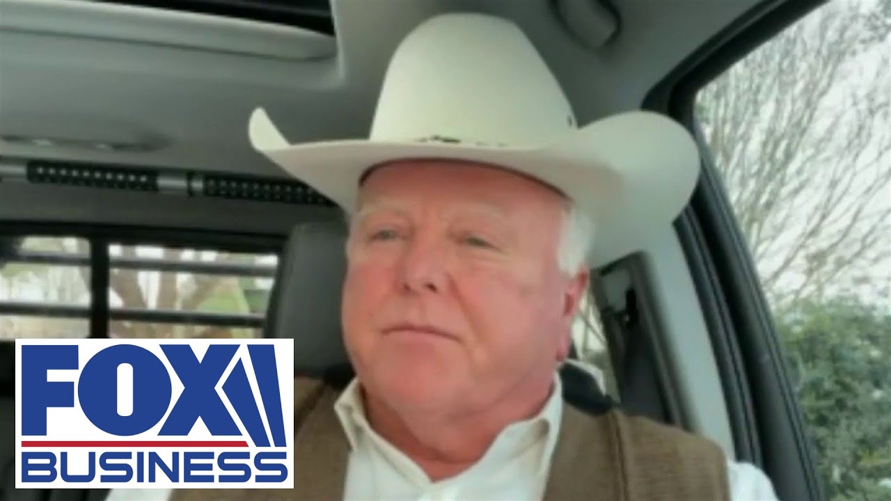 Texas agriculture commissioner calls statewide outages 'inexcusable'