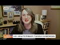 Democrats Divided By Michigan Senate Primary