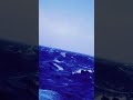 Atlantic Ocean 🌊 ship in storm Force 10 #hurricane #ship #storm #viral #shorts