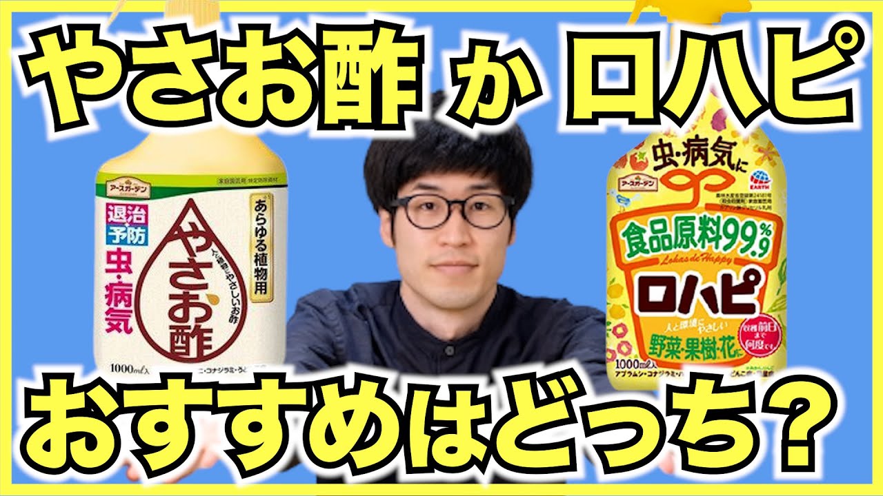 虫嫌いな家庭菜園初心者におすすめの農薬 やさお酢とロハピの使い方 イチゴにも使える Youtube