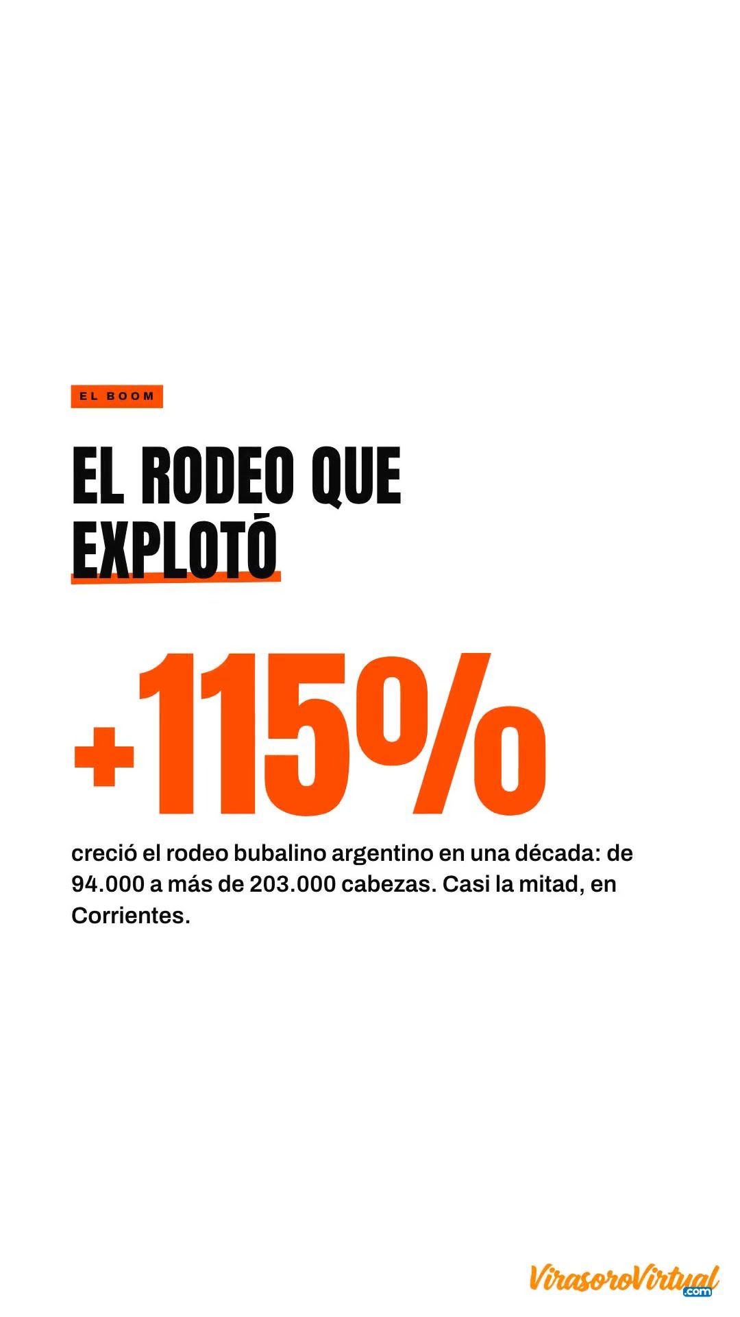 Explicado: Búfalos Correntinos brillan en BsAs