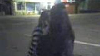 Hot S On The Street Pfx