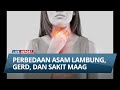 Perbedaan Asam Lambung, GERD, dan Sakit Maag