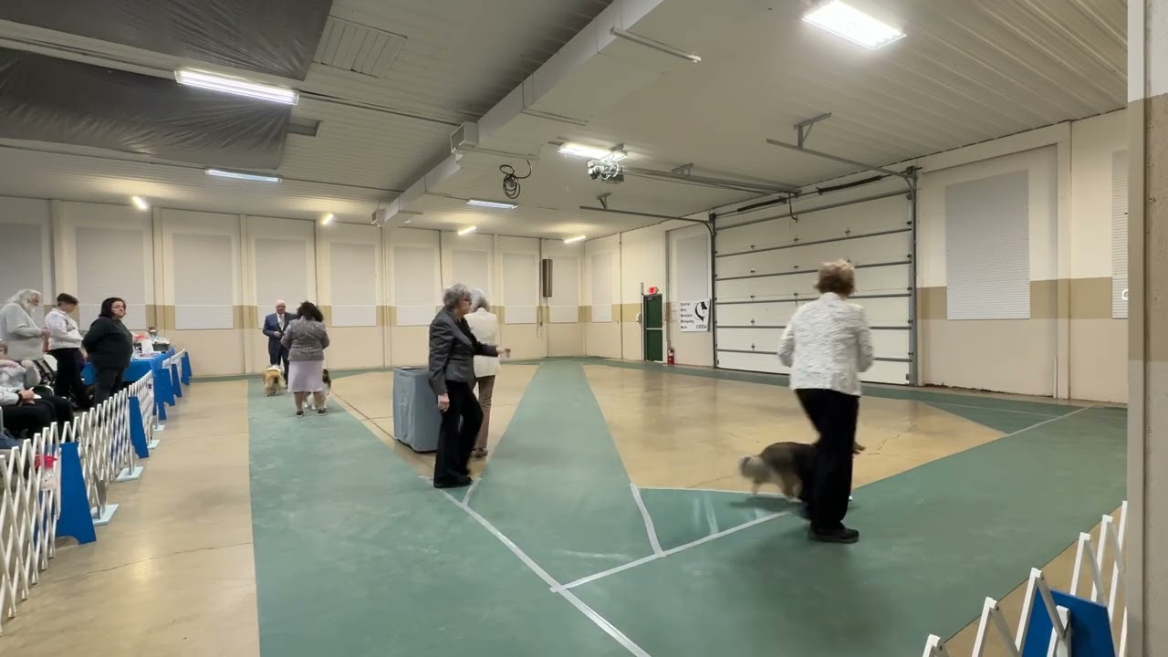 Open Sable COSSA 2/22/26 Robette Johns