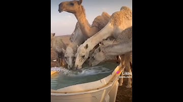 @القران الكريم #قوي_طاقتك آيات من الذكر الحكيم