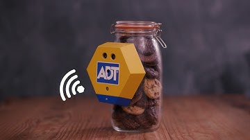 Introducing MAIA by ADT