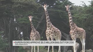 Supes approve $8.5M lifeline for San Francisco Zoo