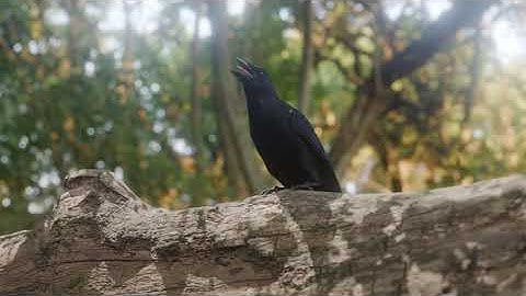 BB#### jpg:1:170 Apple Devices 4K HEVC 10 bit