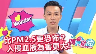 比PM2.5更可怕 會侵入血液危害更大？！媽媽好神 20170829 part4/5 Mei 安東媽