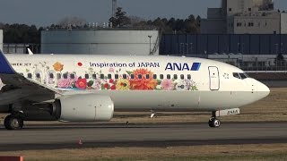 ANA Tohoku Flower Jet Livery Boeing 737-800 JA85AN Landing at NRT 34L