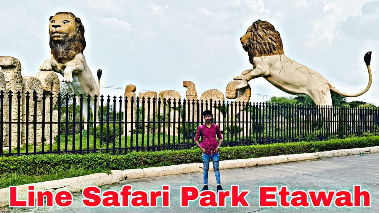 etawah-line-safari-park-ak-mansoori-vlogs-youtube