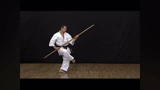 Kyokushin-Kan Weapon Kata - Ryubi No Kon 劉備の棍