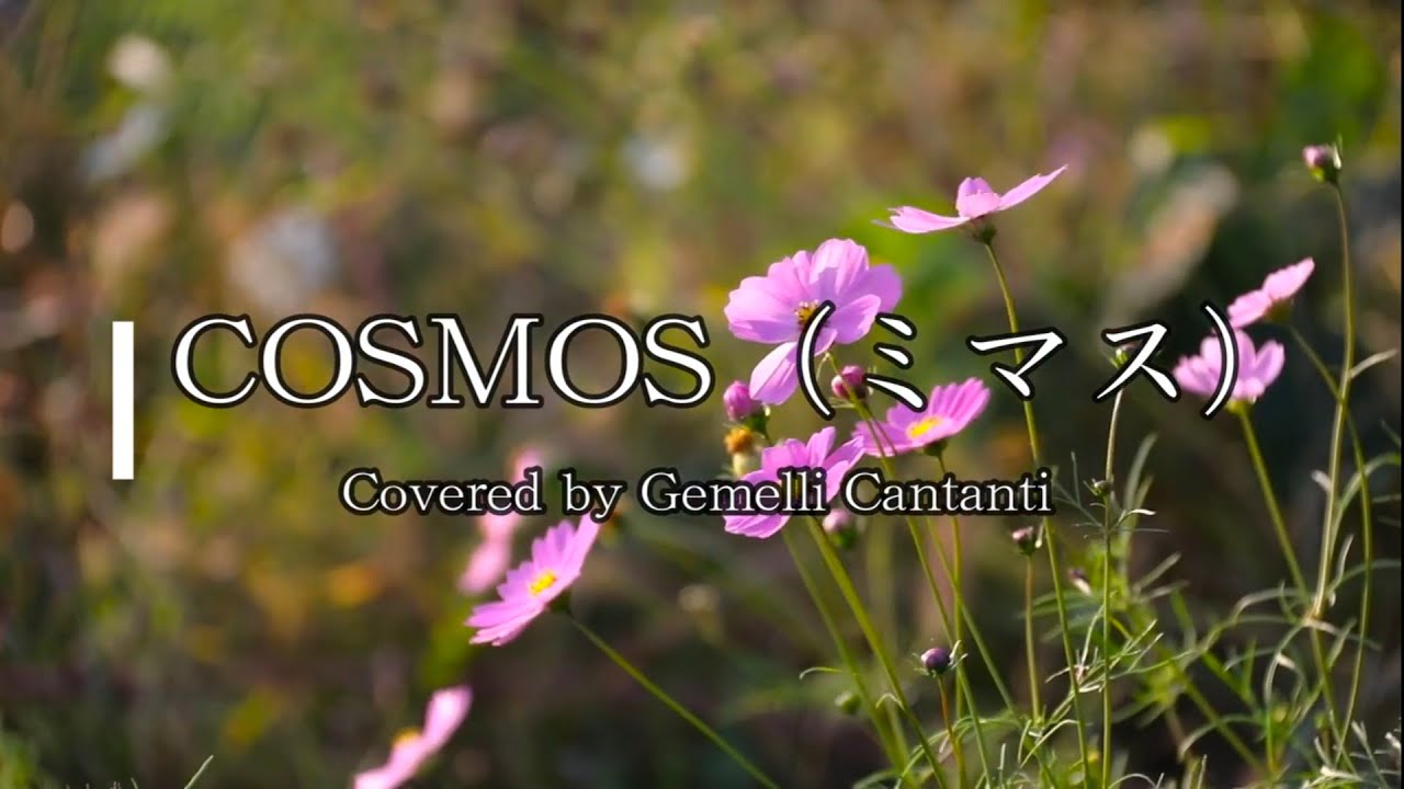 COSMOS（ミマス）／Covered by Gemelli Cantanti