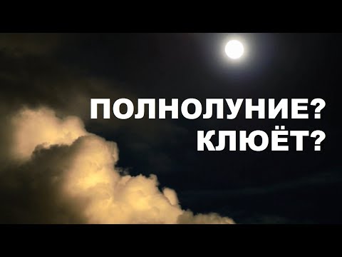 5 МУЖИКОВ ЗНАЮТ ЭТО / КАК ВЛИЯЕТ ЛУНА НА ТИХУЮ ОХОТУ / SeMano TV