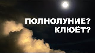 5% МУЖИКОВ ЗНАЮТ ЭТО / КАК ВЛИЯЕТ ЛУНА НА ТИХУЮ ОХОТУ / SeMano TV