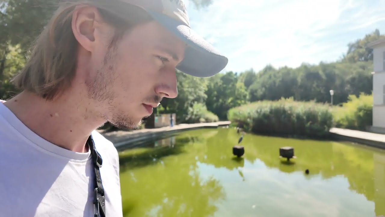 VLOG : PARC DE SAINT MANDE (on note le parc)(l'addition est salée)