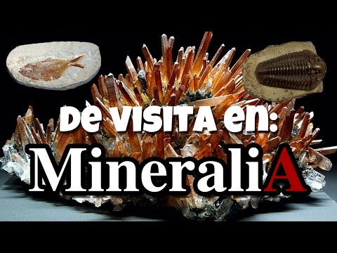 Visita a Mineralia