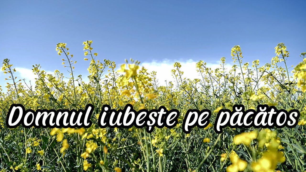 Tu mergi alături de mine, Doamne! [Muzică despre Dumnezeul iubirii]