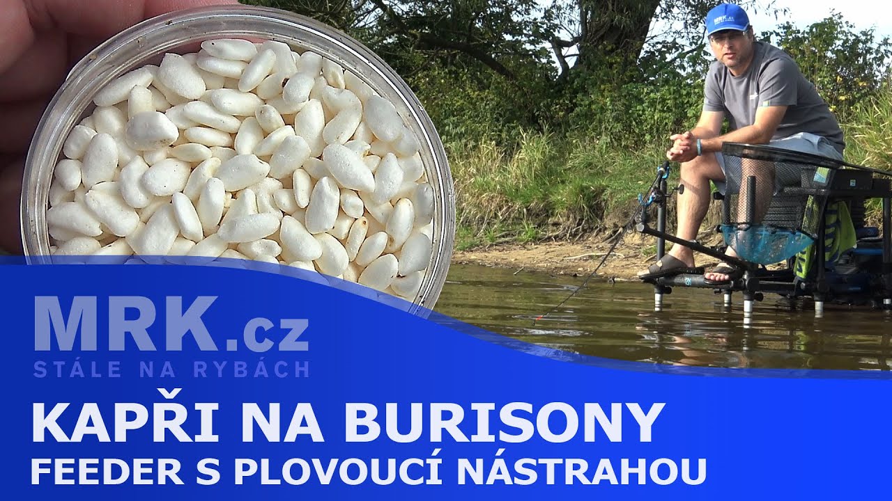 Kapři na burisony