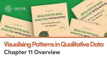 Visualising Patterns - Qualitative Data Analysis with NVivo (Chapter 11 Overview)