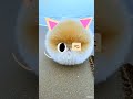 catty girl