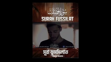 Surah Fussilat (Ha Mim As-Sajdah) 30-37┇Heart touching سورة فصلت  - Hamza Boudib - القارئ حمزة بوديب