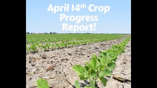 April 14th Crop Progress Report