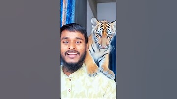 Tiger leopard leap filter 🐅😱 #magic #filter #shorts #viral #tutorial #ai