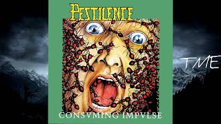 05-Chronic Infection -Pestilence-HQ-320k.