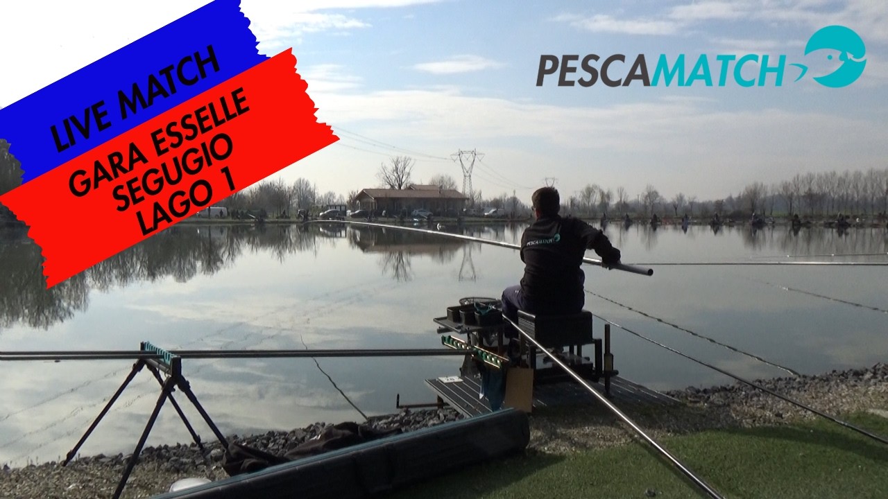 Gara di pesca al colpo in lago | Live match al Lago 1 del Segugio