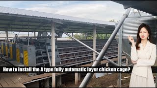 How to install the A type fully automatic layer chicken cage Profile