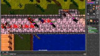PK In venore Elysia