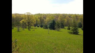 9636 Springvale Road video tour