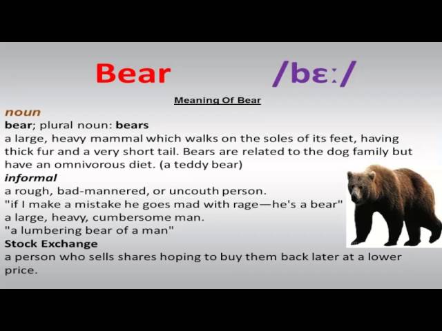 BEAR meaning, definition & pronunciation, What is BEAR?