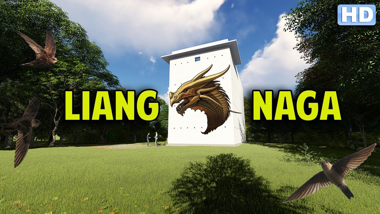 Rahasia Desain Rumah Walet Liang Naga Yang Disukai Burung Walet