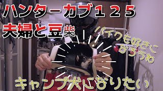 愛犬と旅がしたくて【CT125乗り】ペットリュック開封