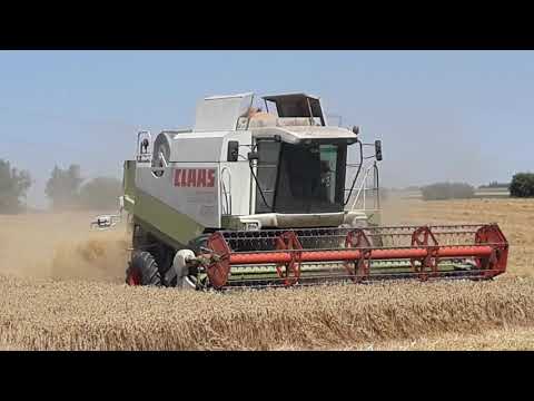 lexion450 aubigny en artois part3