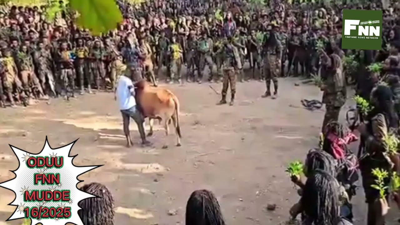 Новости FNN, 16 декабря