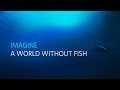 Imagine a world without fish