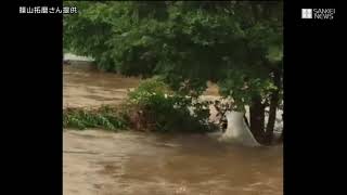 増水の川で男性を1人救助　1人は流される　埼玉・新座