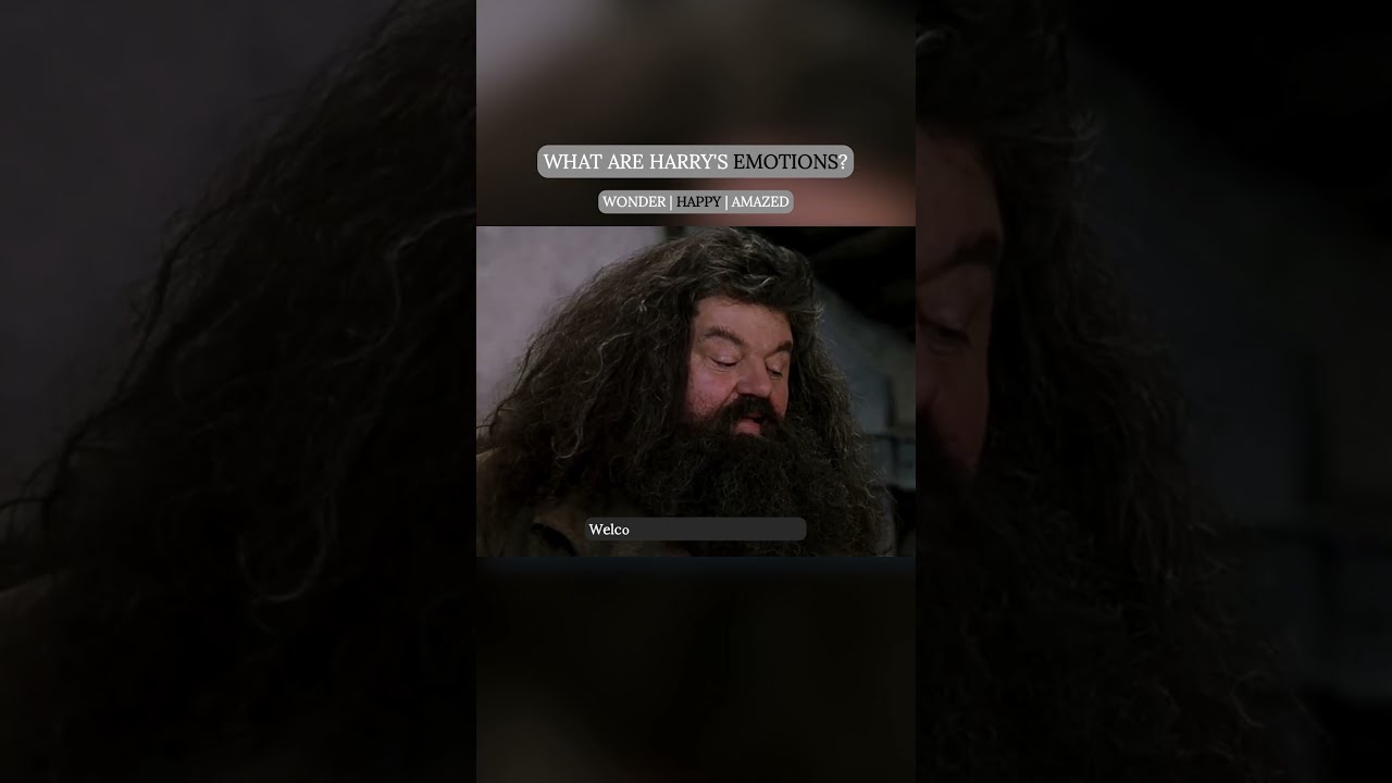 Harry Potter What Emotions Is He Feeling Emotion Identification Exercise