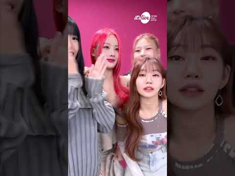 [<strong>it</strong>&amp;#39;s Live] ✨<strong>KISS</strong> OF LIFE가 잇라네컷 찍는 법.mp4✨ #itsLive #KPOP #잇츠라이브 #잇라네컷 #인생네컷 #itsLive4Cut #KISSOFLIFE