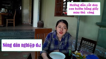 Nông dân nghiệp dư  | Hướng dẫn cắt dán con bướm bằng giấy màu thủ công