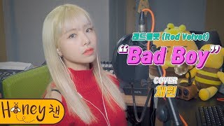레드벨벳 (Red Velvet) - Bad boyㅣCOVER by 채원ㅣCOVERㅣHoney챈