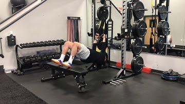 Matthew Ibrahim | TRX Inverted Hamstring Curl